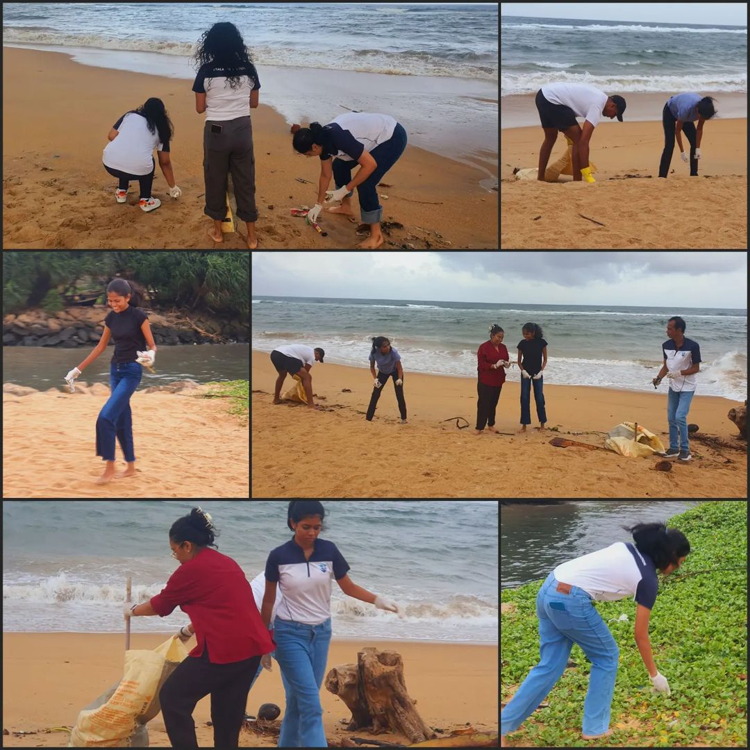 Beach Cleanup 2024