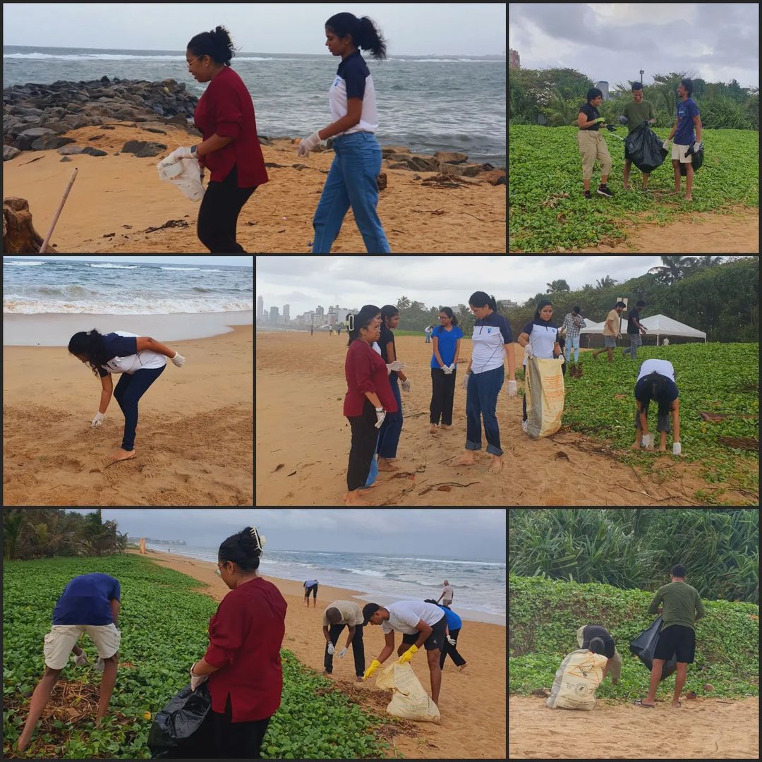 Beach Cleanup 2024